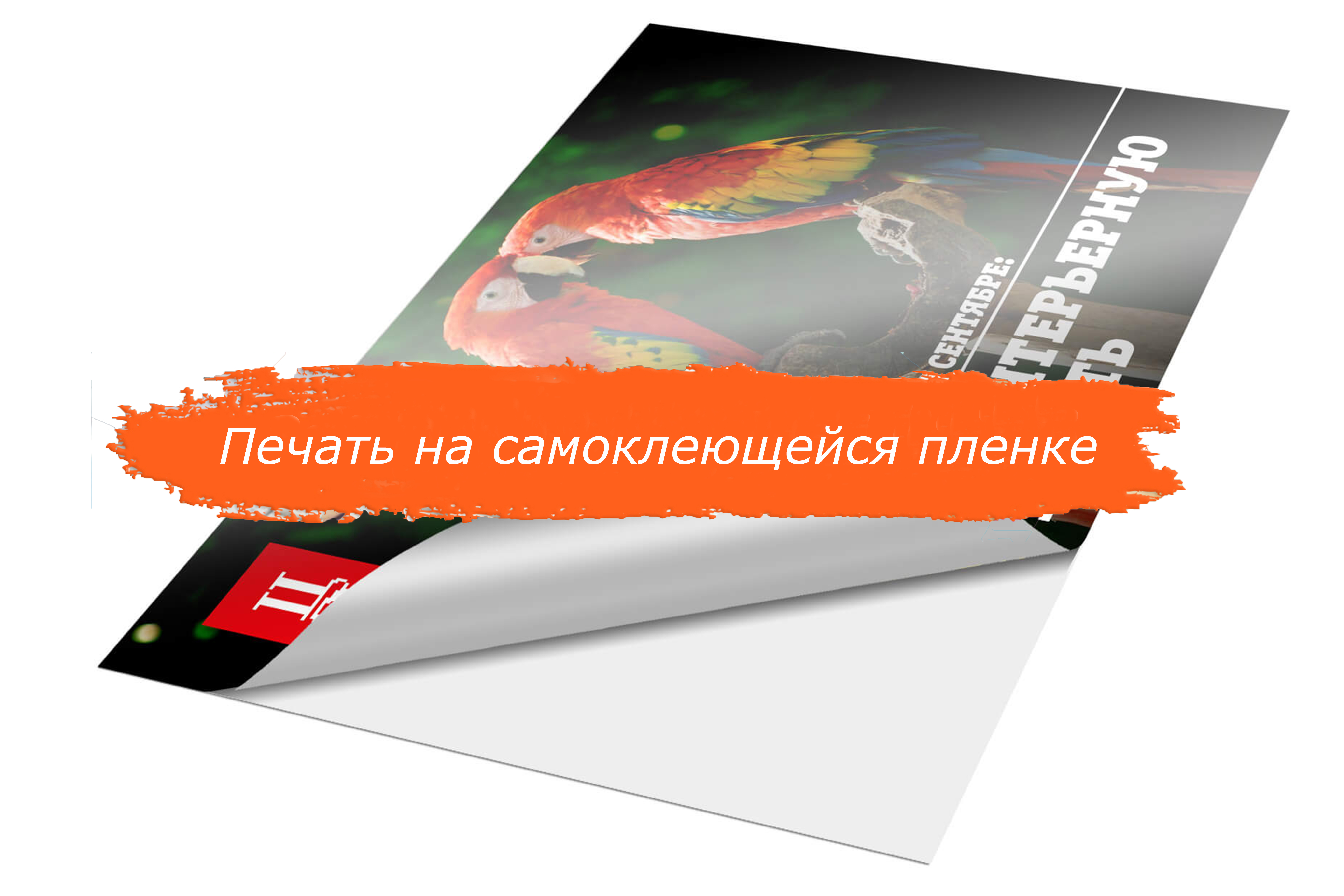 Печать на самоклеющейся пленке
